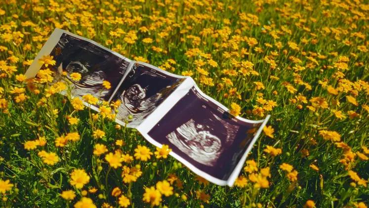 Maternity session